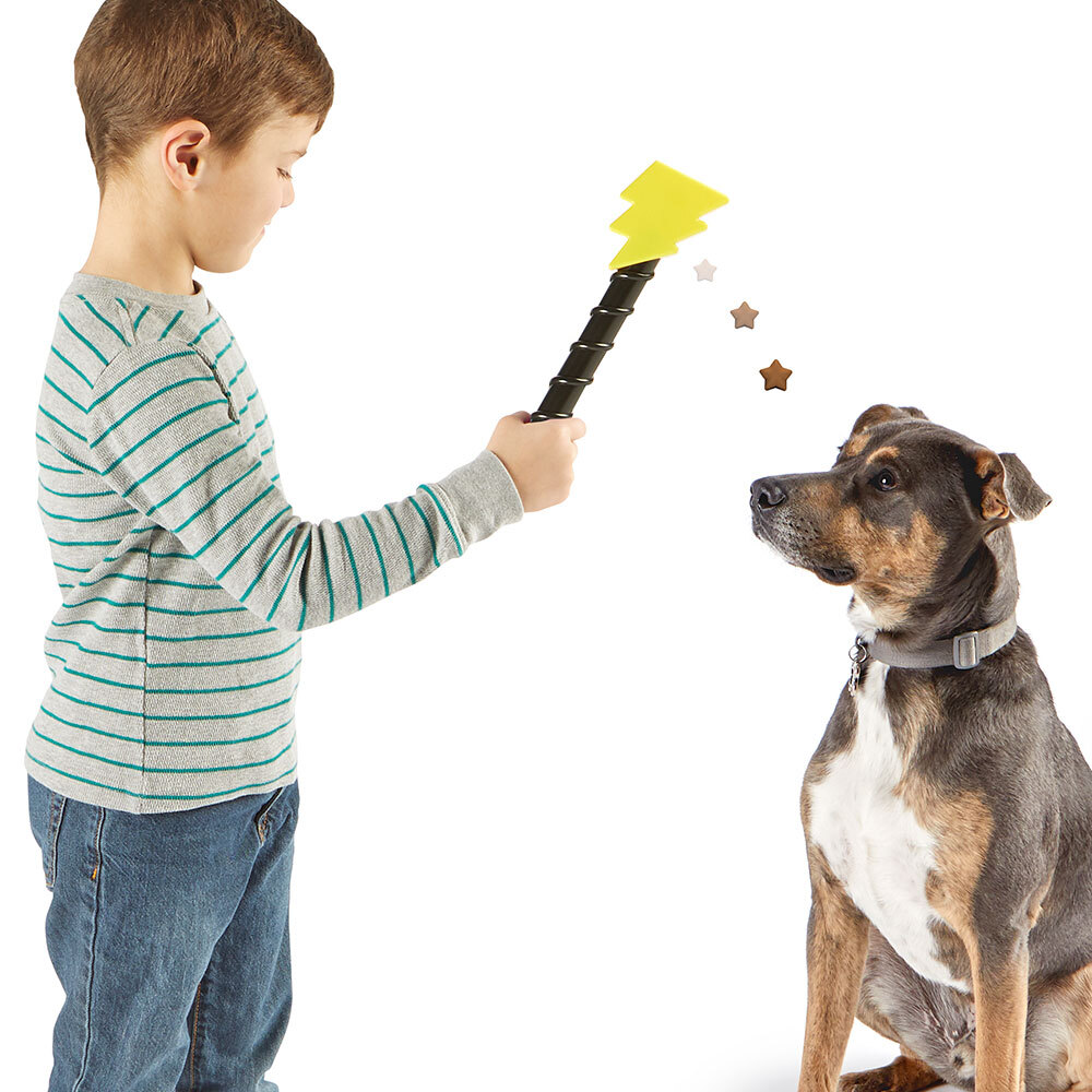 Brightkins Magic Wand Treat Dispenser: Star - Dog Treat Holder and Target  Stick, Treat Dispenser for Dogs, Training Tools for Dogs