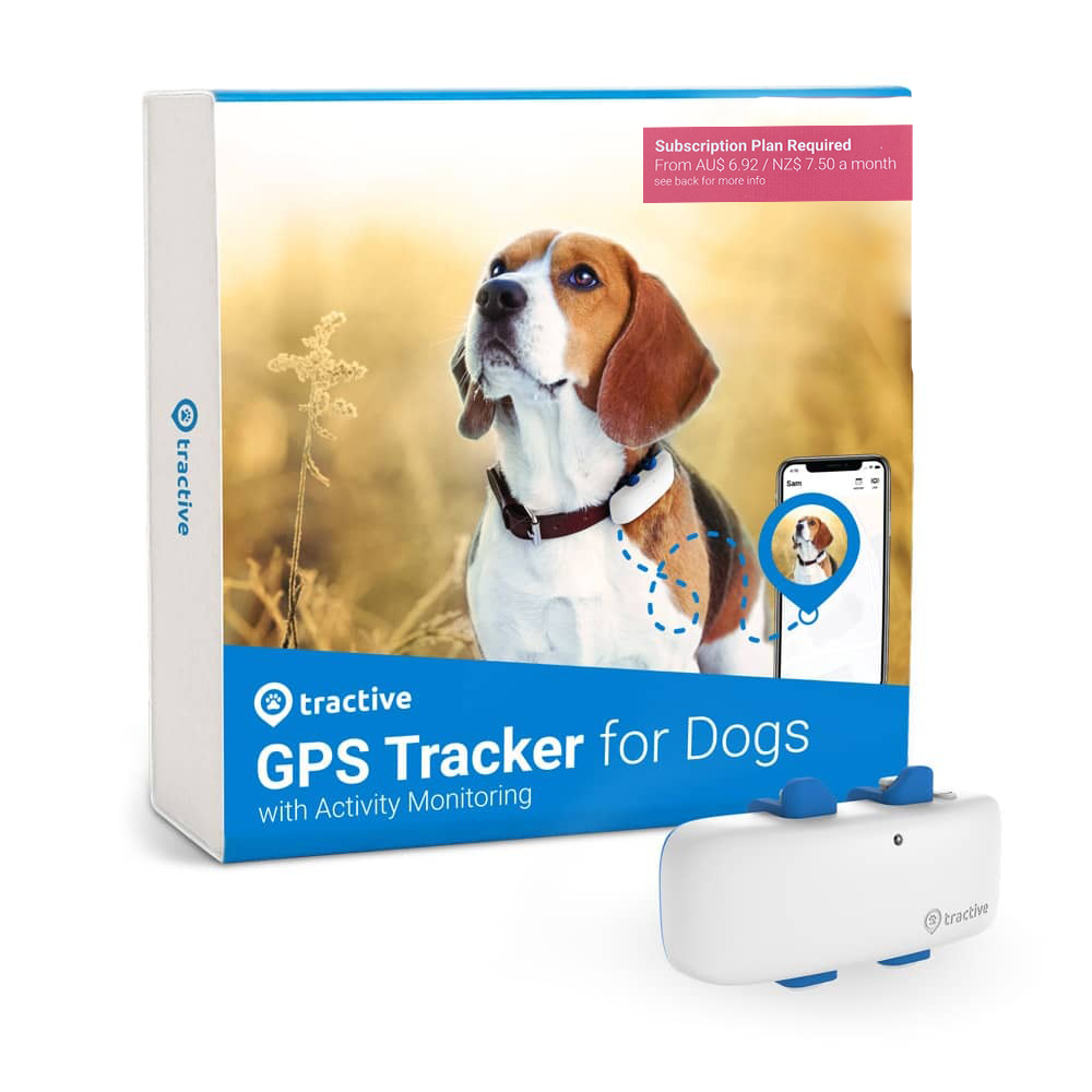 4 gps online