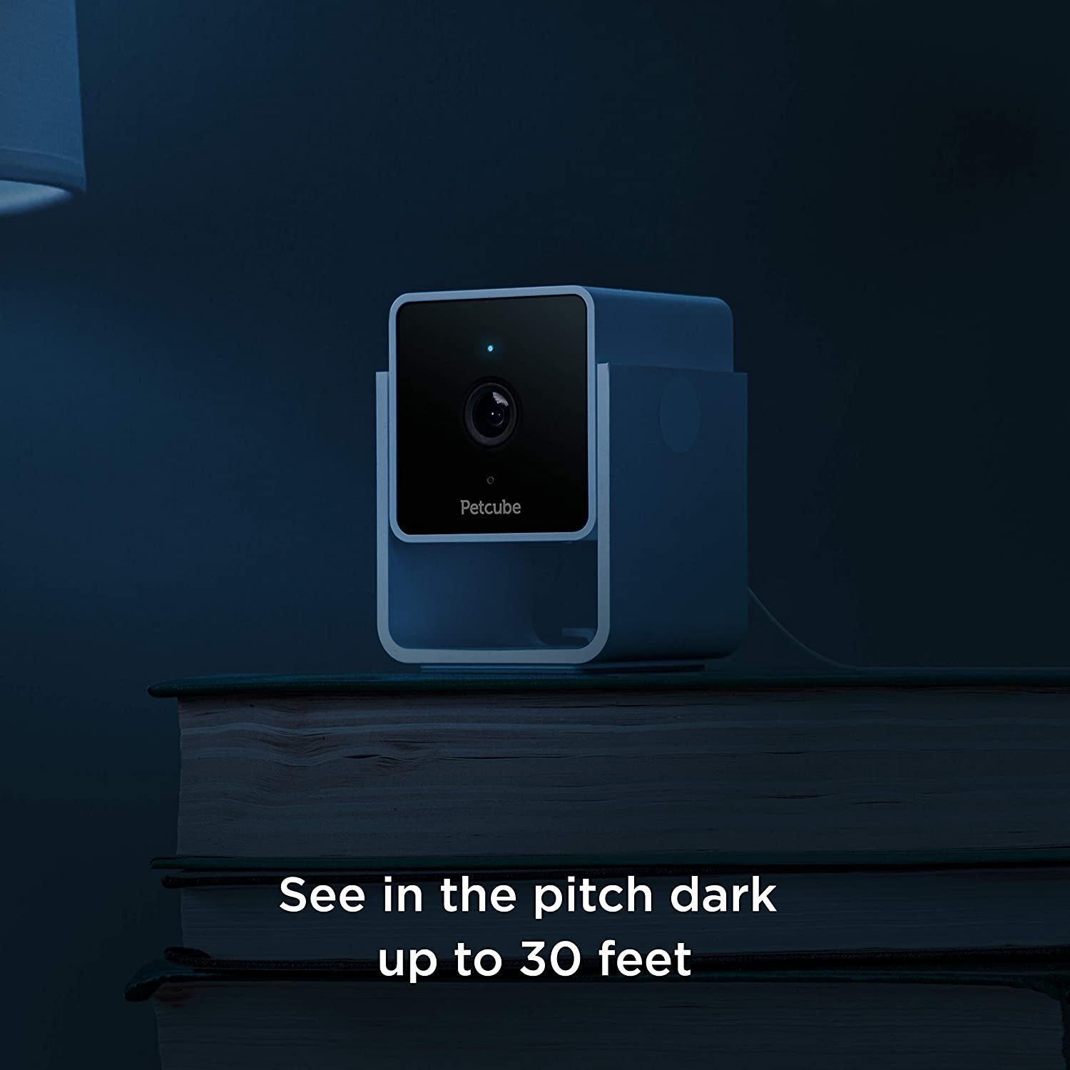 petcube camera