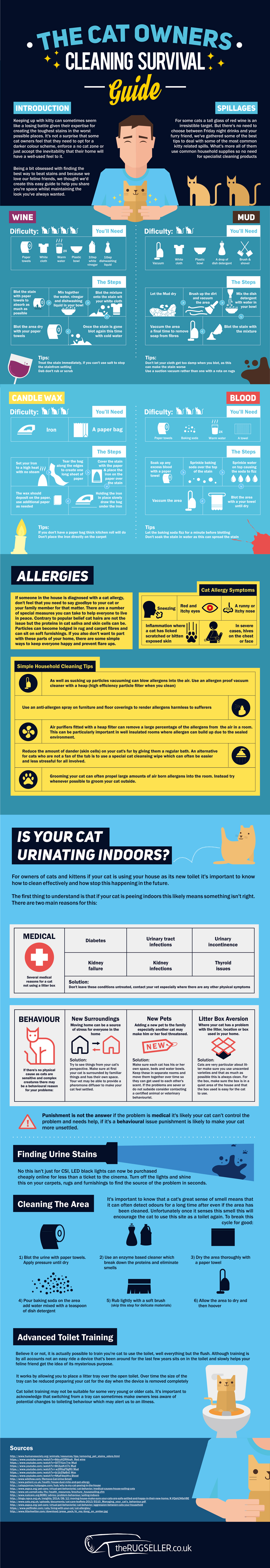 The Cat Owner's Cleaning Survival Guide/></a>