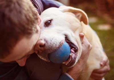 Man hugs a yellow lab with a blue ball in his mouth.