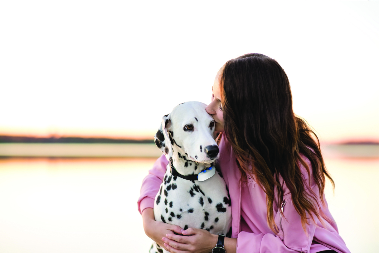 Tractive GPS Dog 4