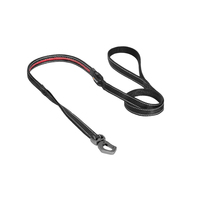 Dogness LED leash [Colour: Red] [Size: Medium/large ]
