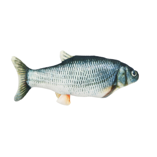 Flippy Fish Blue