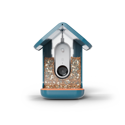 Birdbuddy Smart Bird Feeder with Solar Roof - Blue