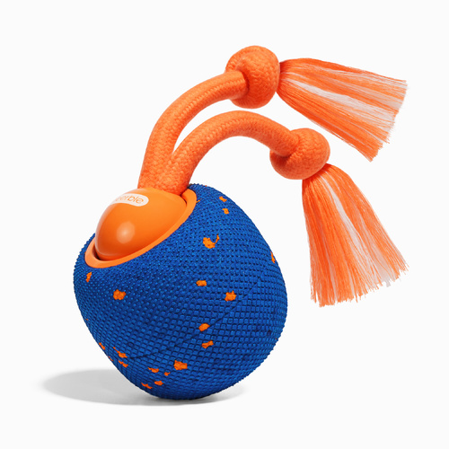 Cheerble Wicked Ball Rolly - Royal Blue